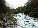 New_Zealand (545)